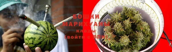 гидра Алексеевка