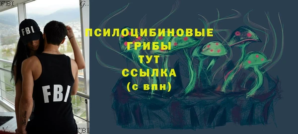 гидра Алексеевка