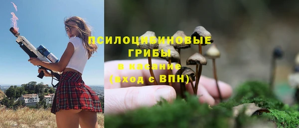 мяу мяу мука Алексин
