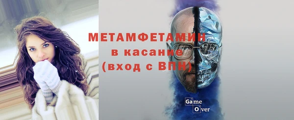 гидра Алексеевка