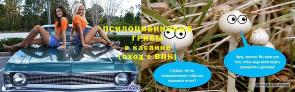 гидра Алексеевка