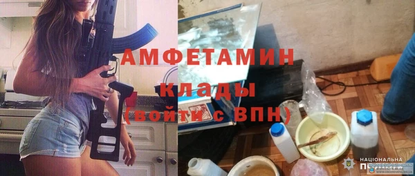 гидра Алексеевка