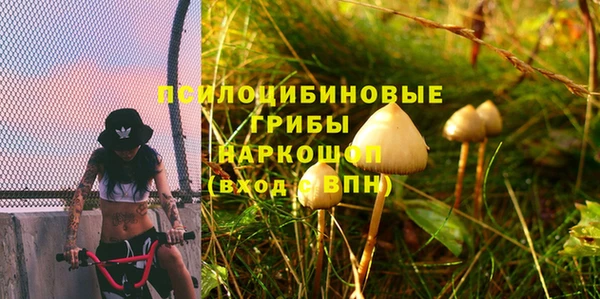 мяу мяу мука Алексин