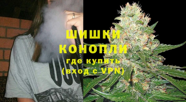 гидра Алексеевка