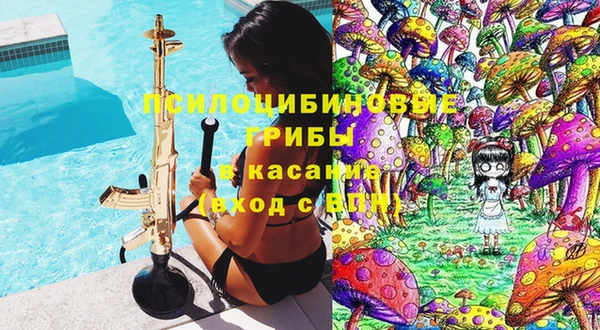 гидра Алексеевка
